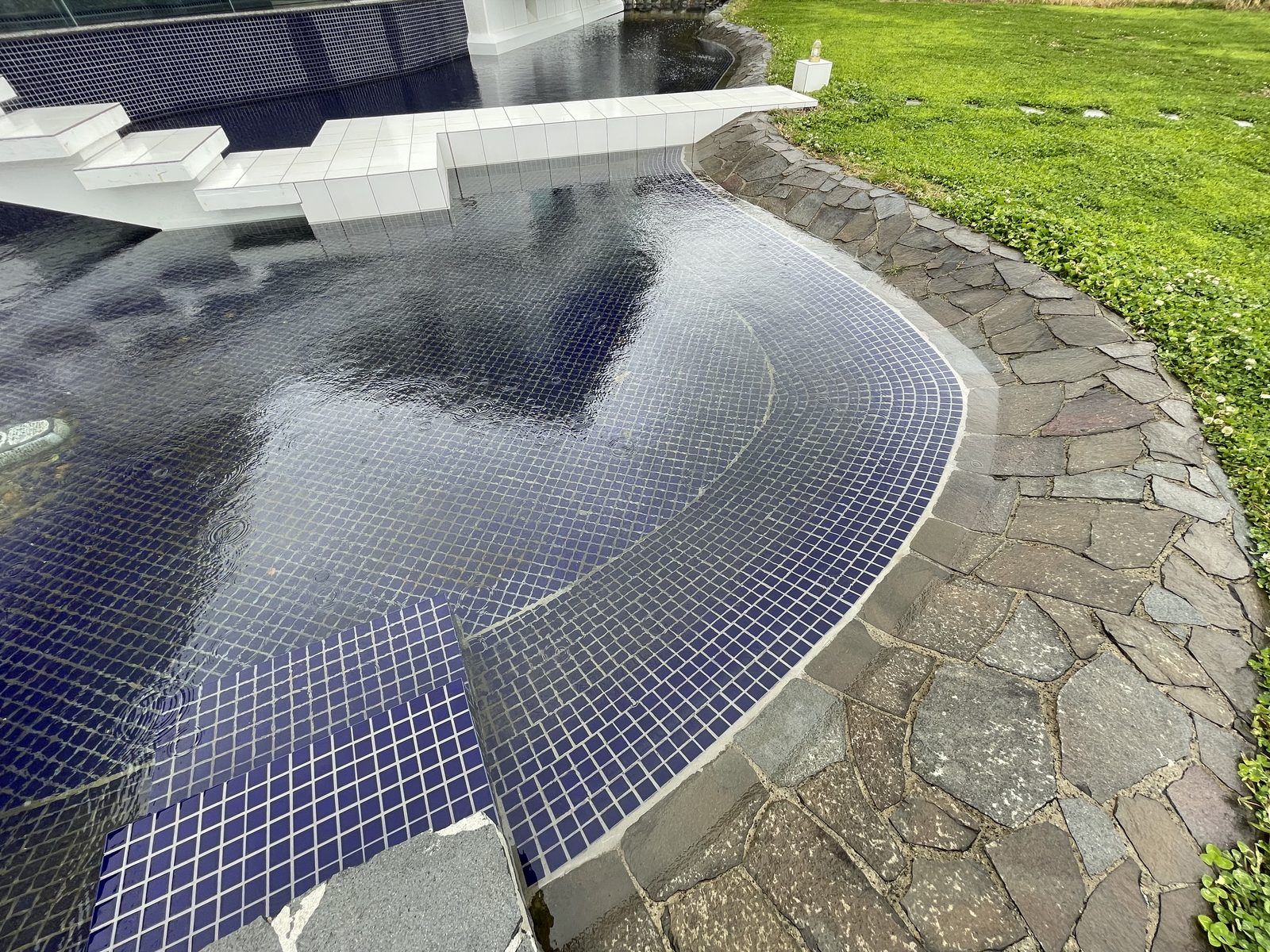 大池の現状